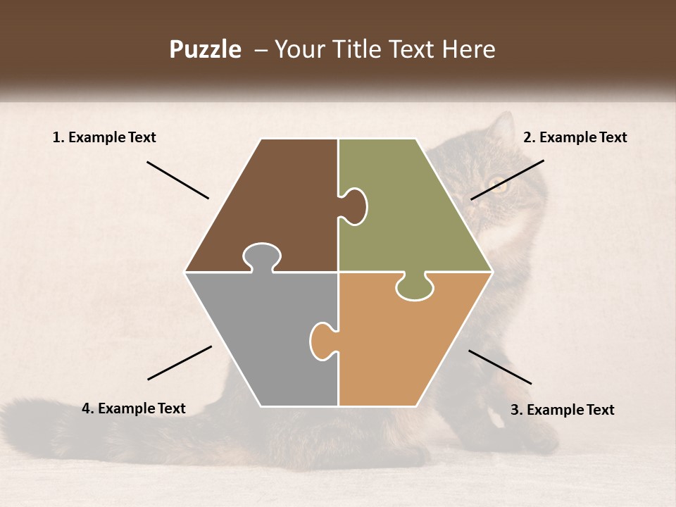 Puss Feline Furry PowerPoint Template