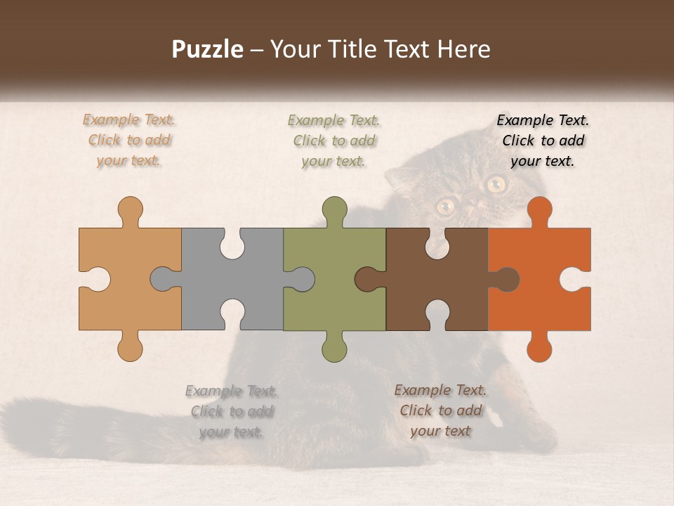 Puss Feline Furry PowerPoint Template