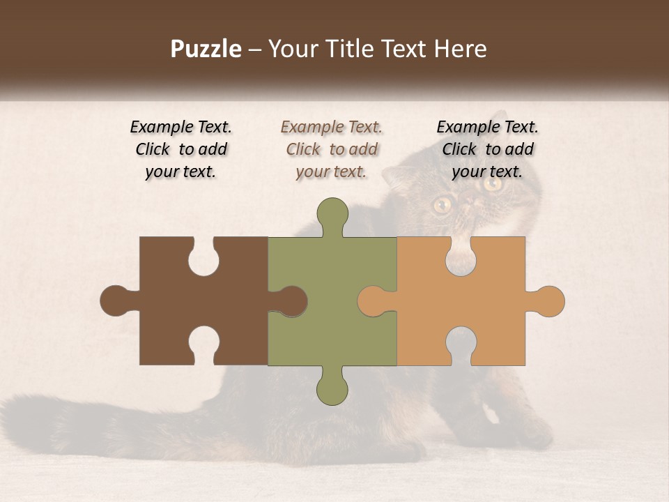 Puss Feline Furry PowerPoint Template