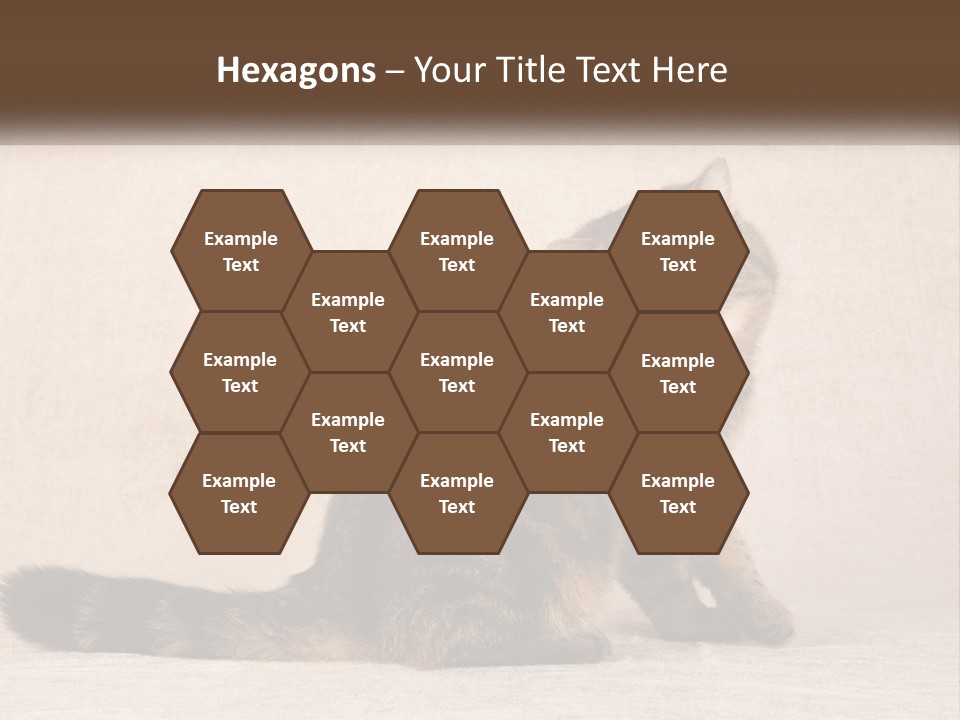 Puss Feline Furry PowerPoint Template