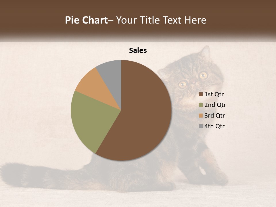 Puss Feline Furry PowerPoint Template
