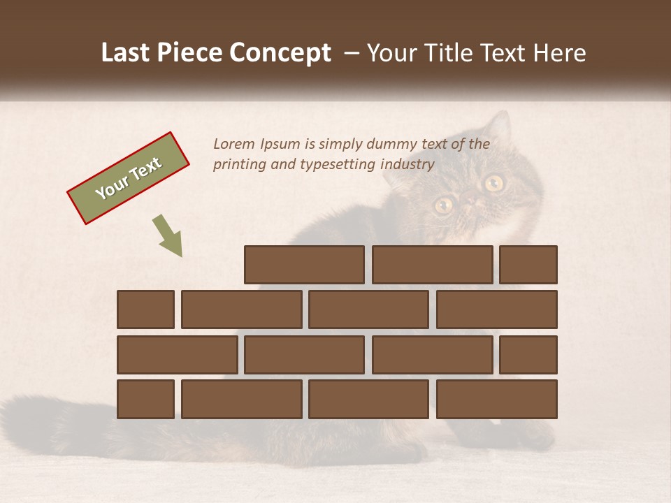 Puss Feline Furry PowerPoint Template