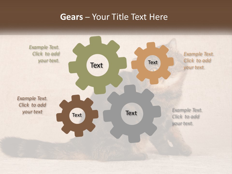 Puss Feline Furry PowerPoint Template