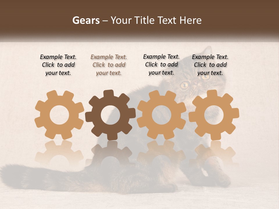 Puss Feline Furry PowerPoint Template