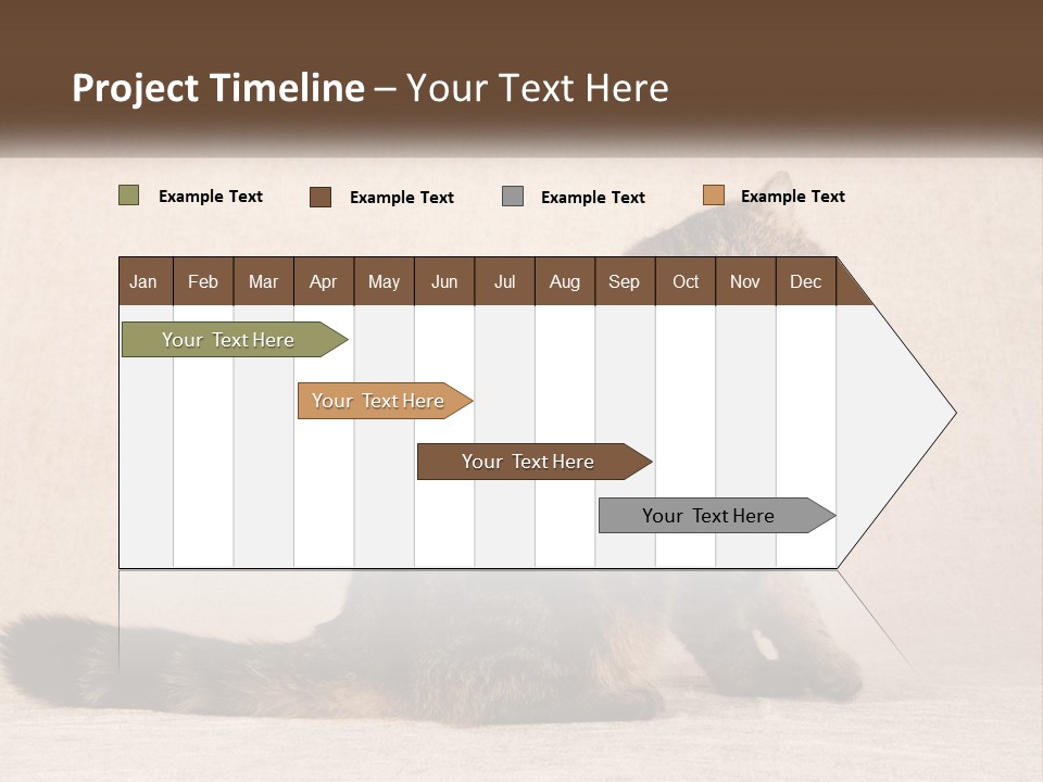 Puss Feline Furry PowerPoint Template