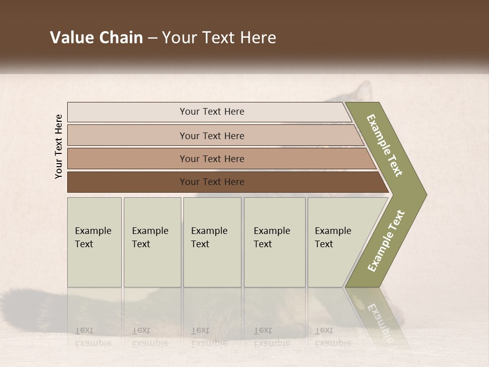 Puss Feline Furry PowerPoint Template