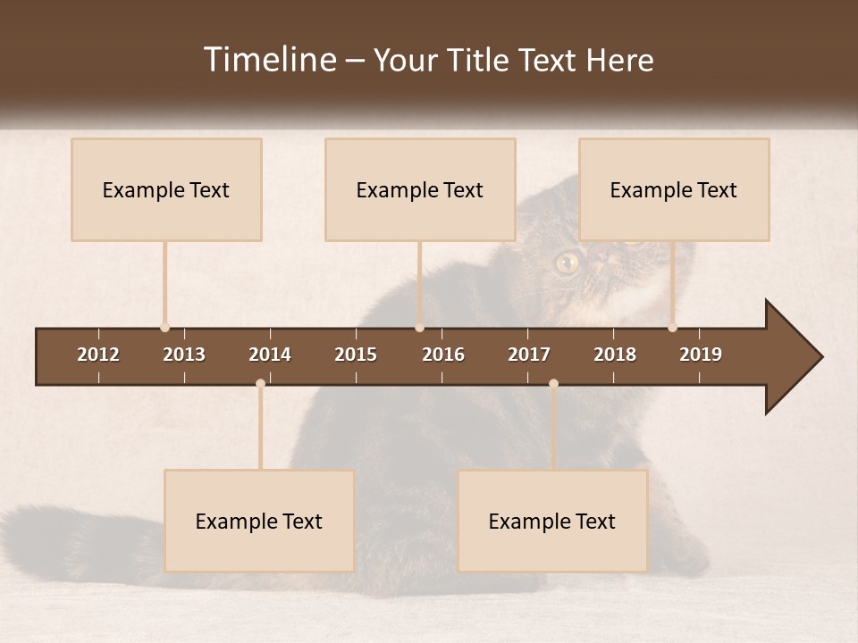 Puss Feline Furry PowerPoint Template