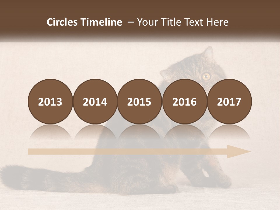 Puss Feline Furry PowerPoint Template