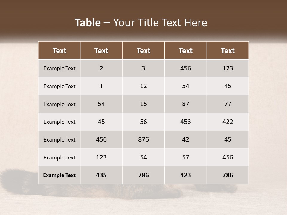 Puss Feline Furry PowerPoint Template