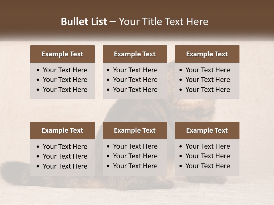 Puss Feline Furry PowerPoint Template