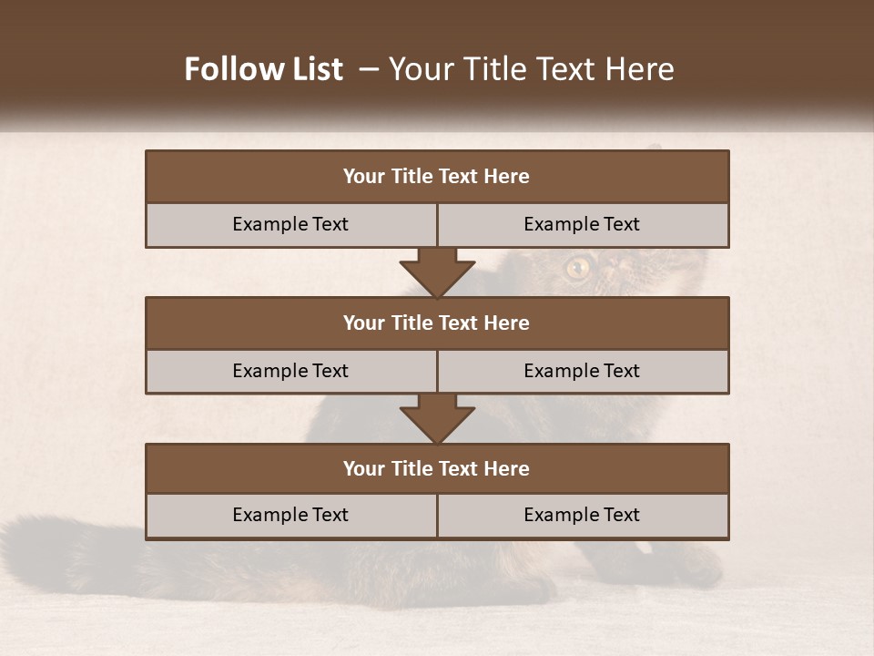 Puss Feline Furry PowerPoint Template