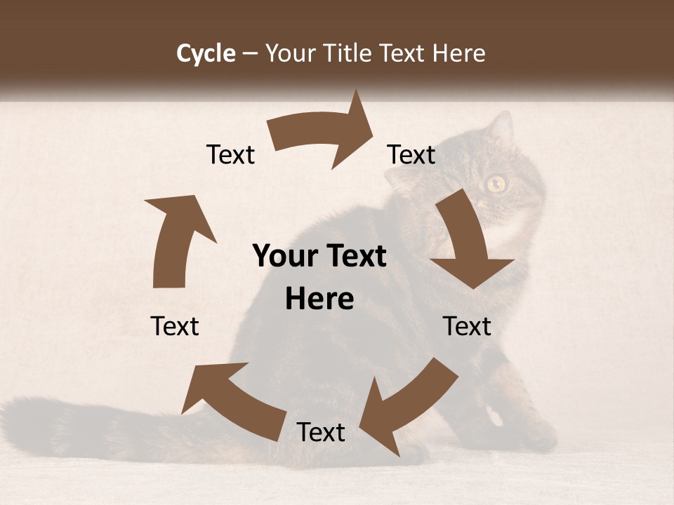 Puss Feline Furry PowerPoint Template