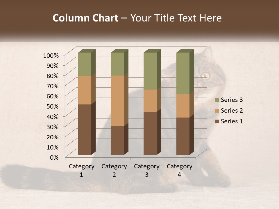 Puss Feline Furry PowerPoint Template