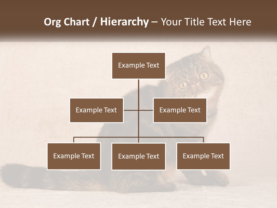 Puss Feline Furry PowerPoint Template