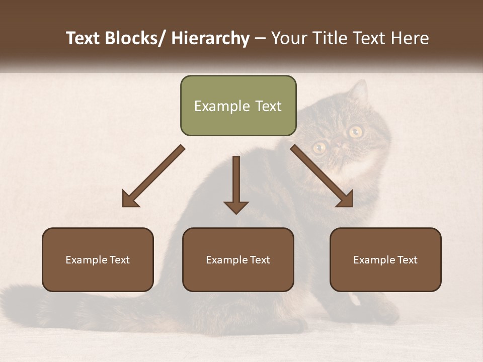 Puss Feline Furry PowerPoint Template