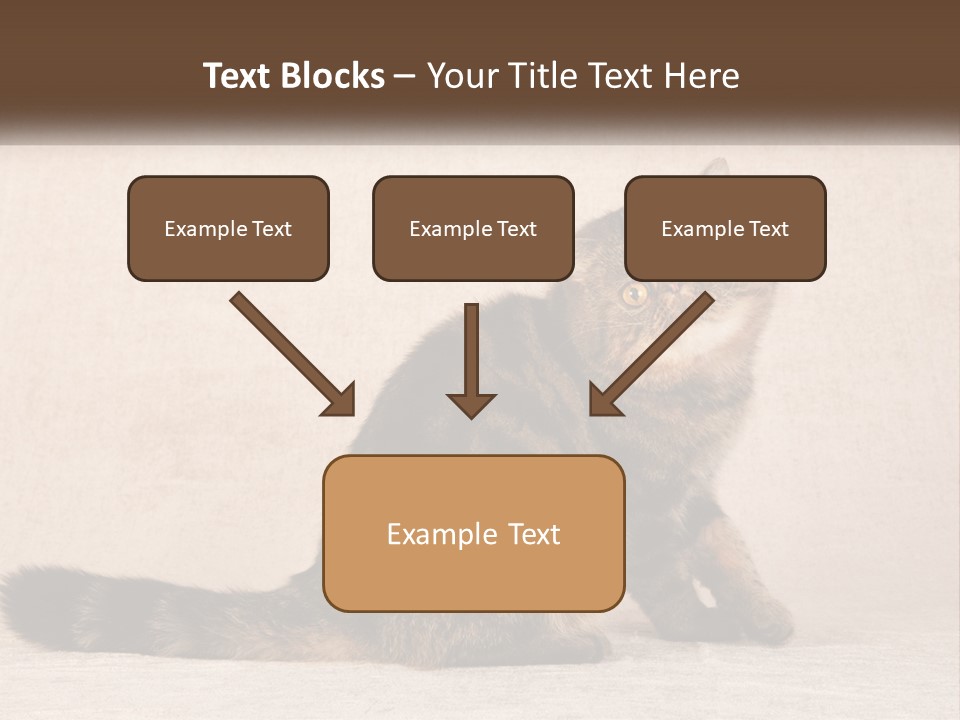 Puss Feline Furry PowerPoint Template