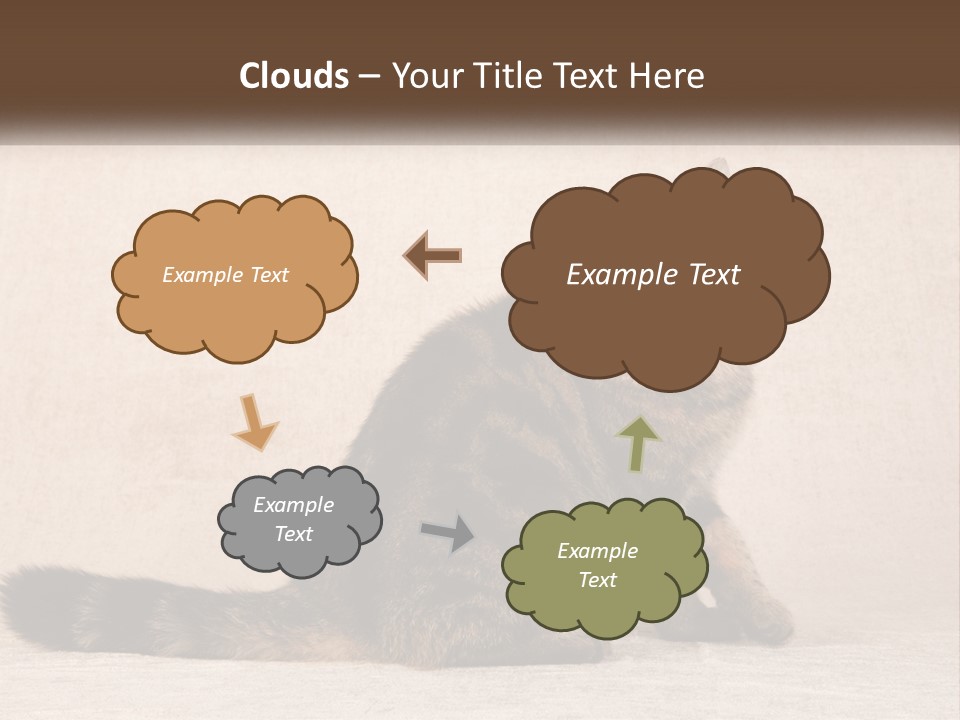 Puss Feline Furry PowerPoint Template