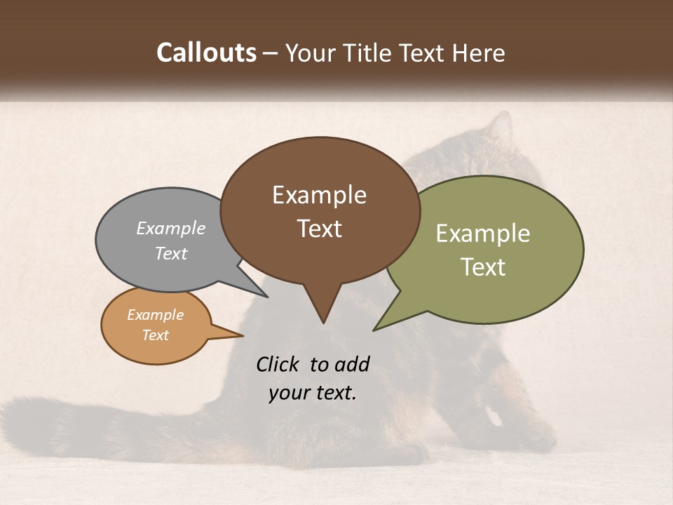 Puss Feline Furry PowerPoint Template