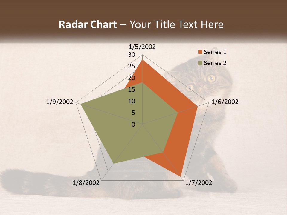 Puss Feline Furry PowerPoint Template