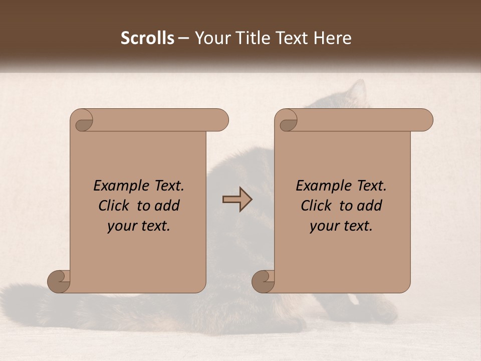 Puss Feline Furry PowerPoint Template