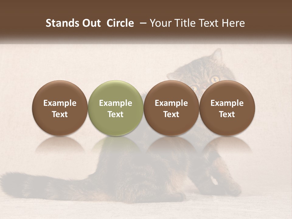 Puss Feline Furry PowerPoint Template