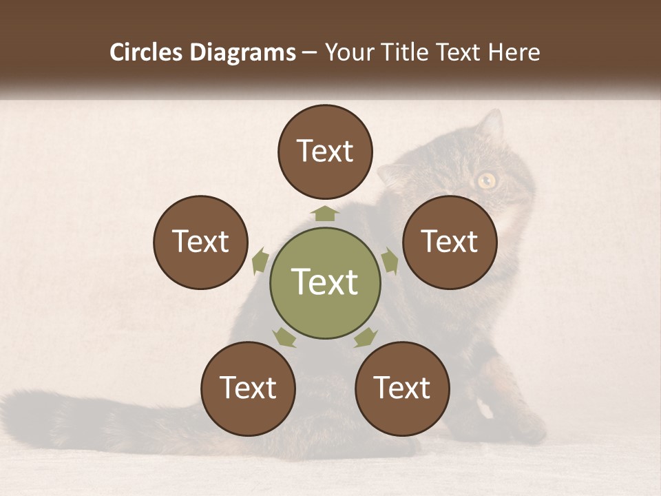 Puss Feline Furry PowerPoint Template