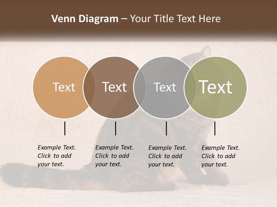 Puss Feline Furry PowerPoint Template