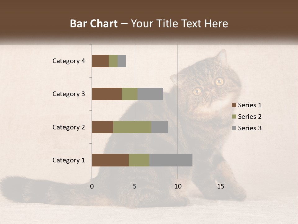 Puss Feline Furry PowerPoint Template