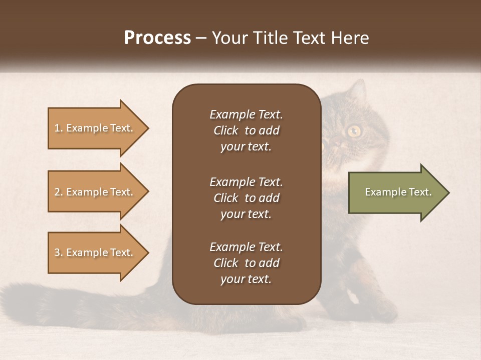 Puss Feline Furry PowerPoint Template