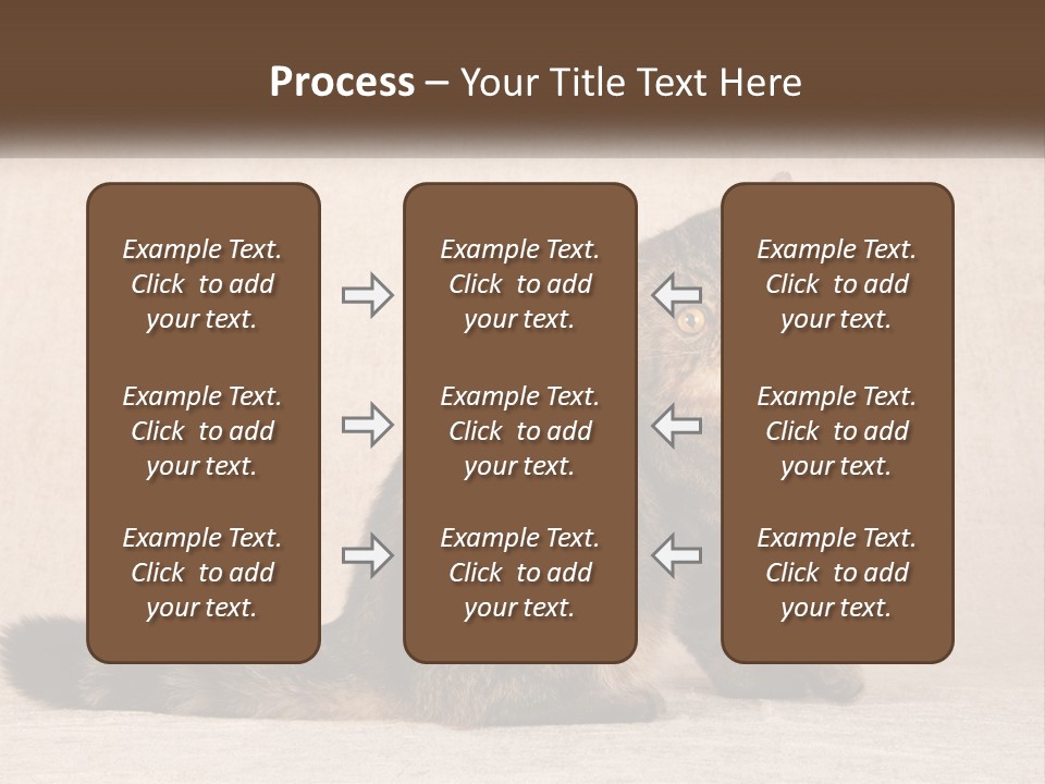 Puss Feline Furry PowerPoint Template