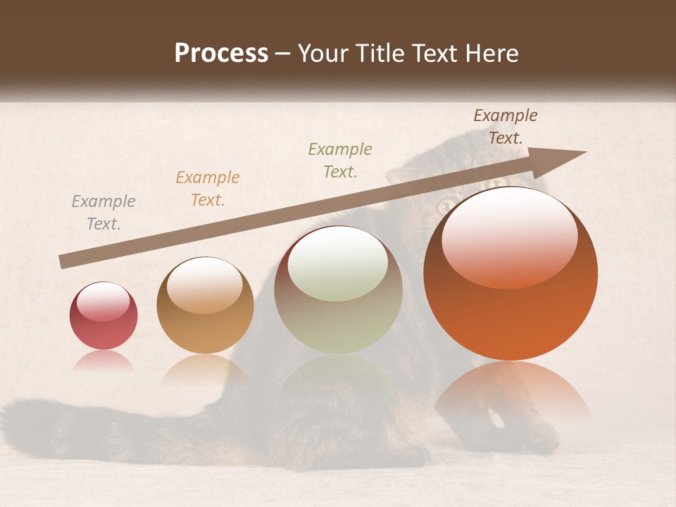 Puss Feline Furry PowerPoint Template