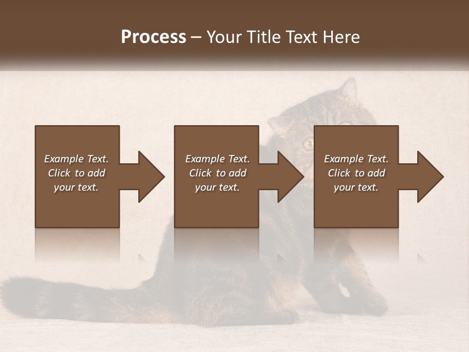 Puss Feline Furry PowerPoint Template