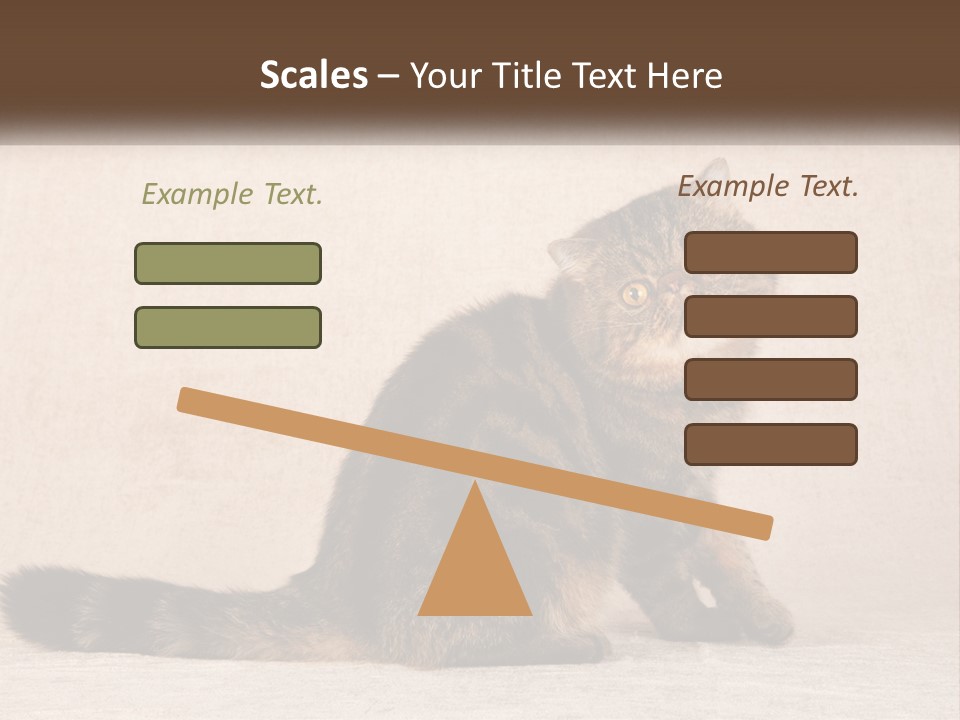 Puss Feline Furry PowerPoint Template