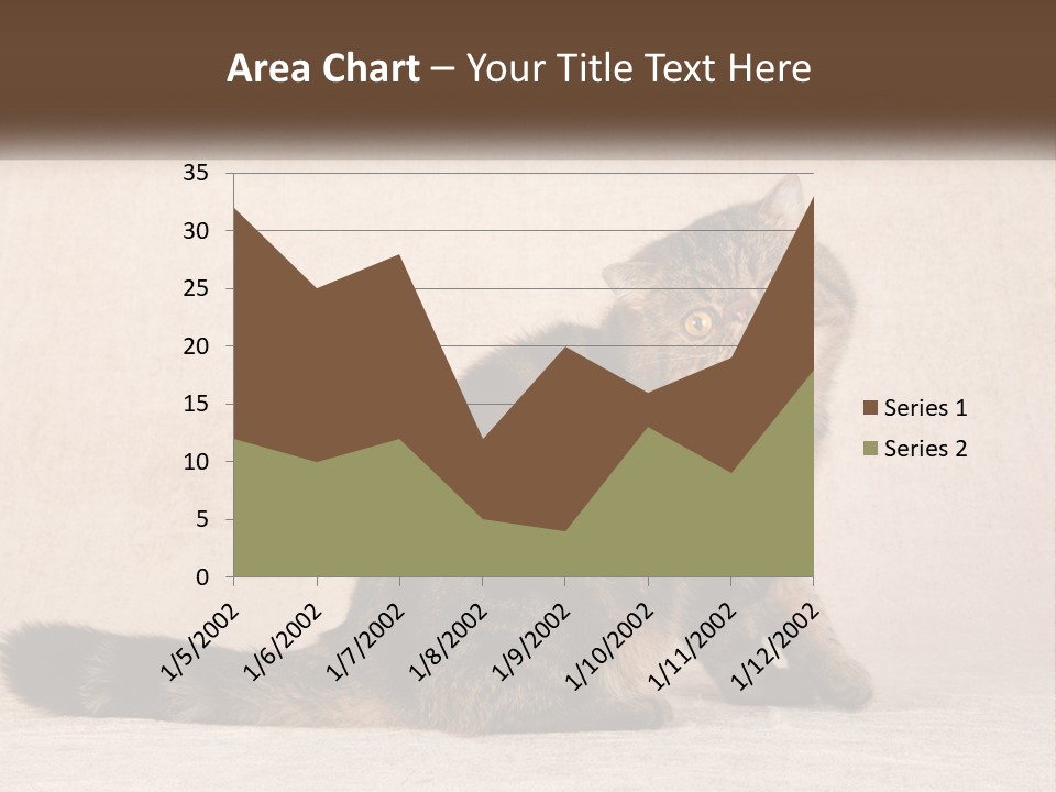 Puss Feline Furry PowerPoint Template