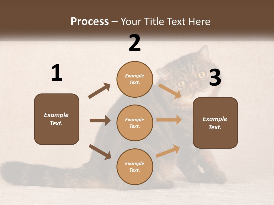 Puss Feline Furry PowerPoint Template