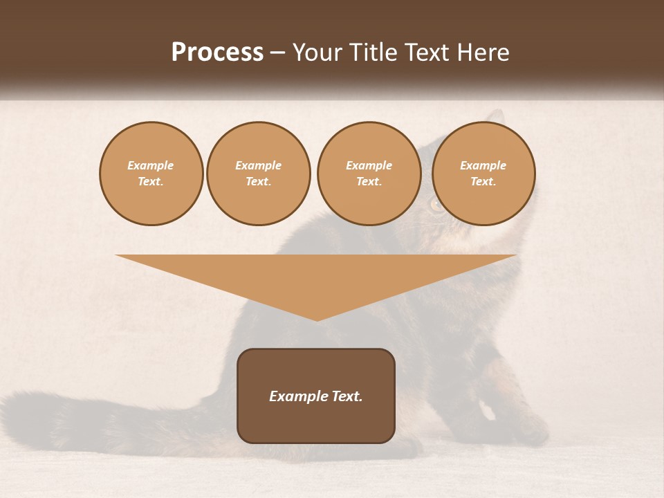 Puss Feline Furry PowerPoint Template