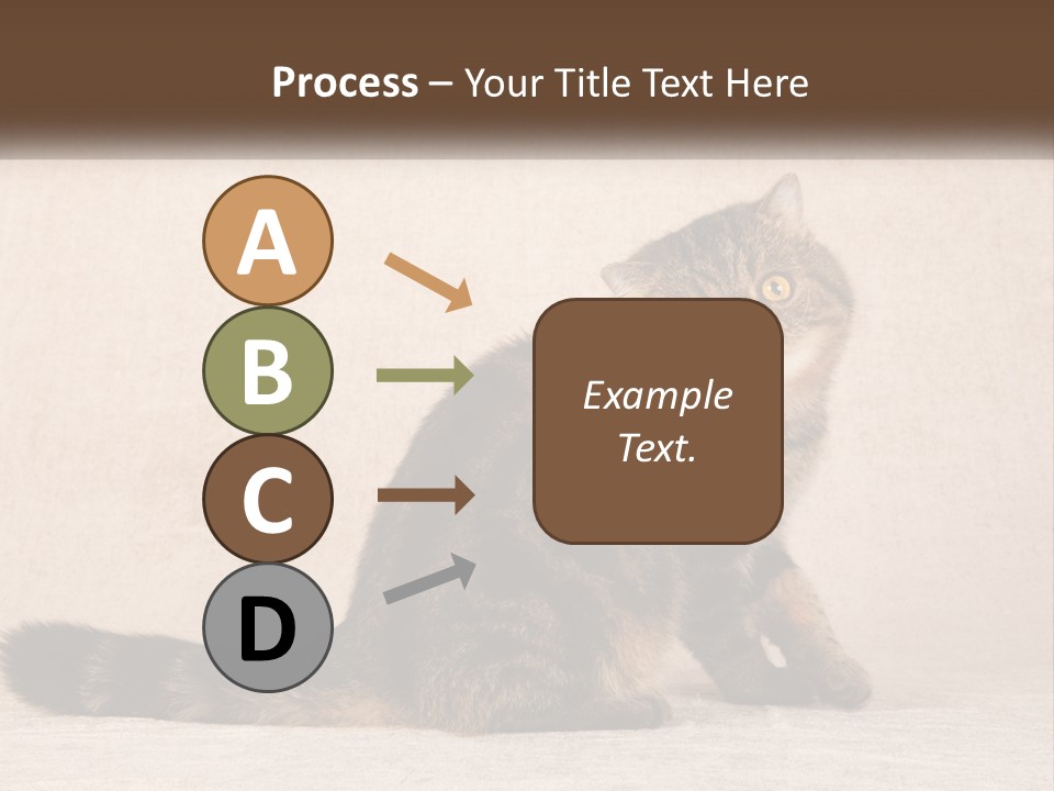 Puss Feline Furry PowerPoint Template