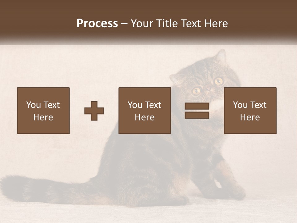 Puss Feline Furry PowerPoint Template