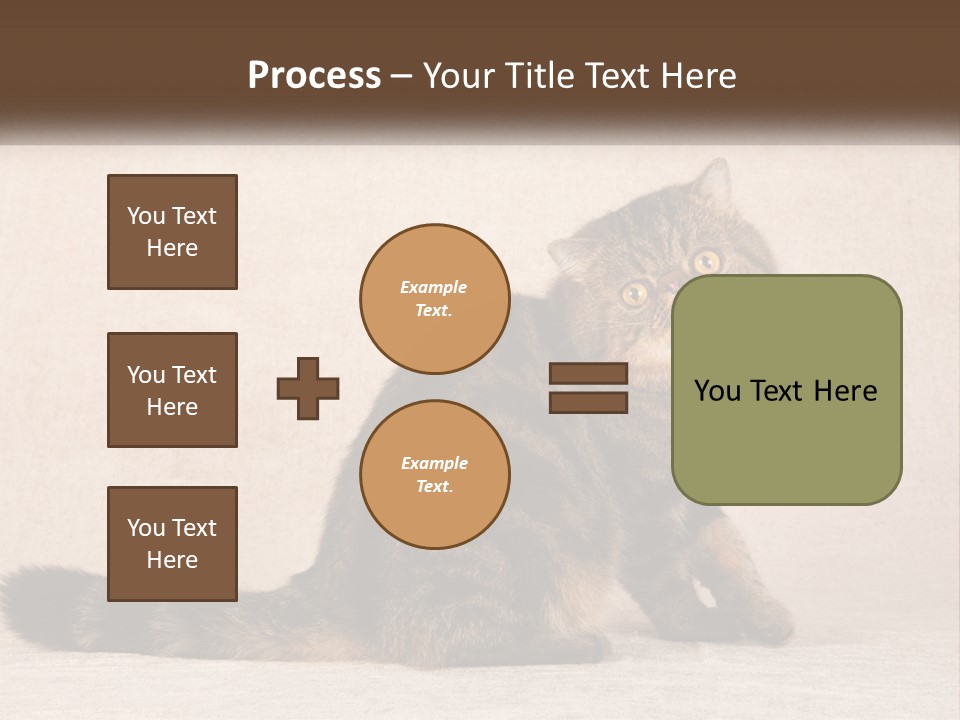 Puss Feline Furry PowerPoint Template