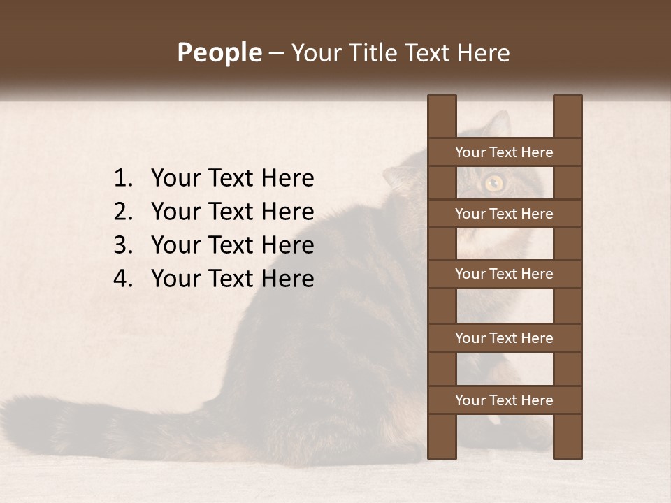 Puss Feline Furry PowerPoint Template