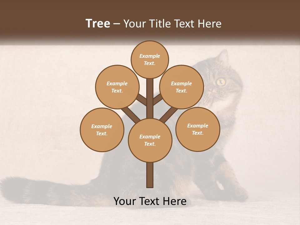 Puss Feline Furry PowerPoint Template