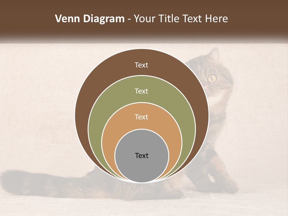 Puss Feline Furry PowerPoint Template