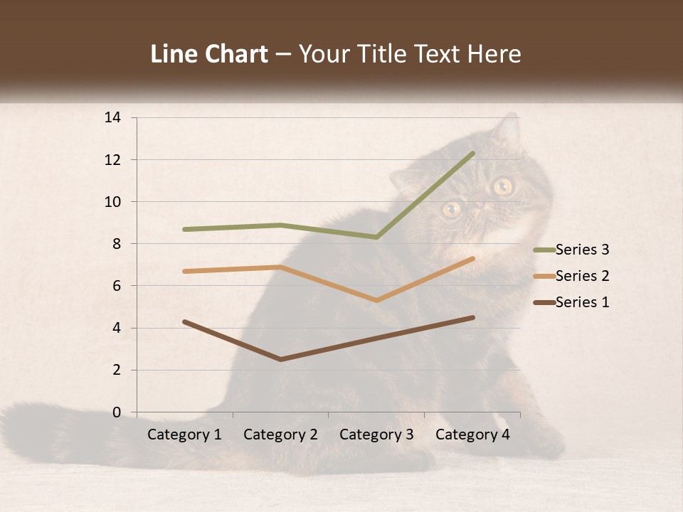 Puss Feline Furry PowerPoint Template