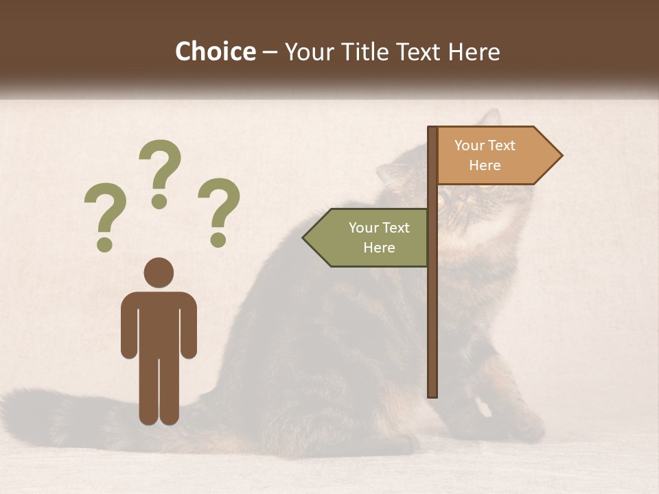 Puss Feline Furry PowerPoint Template
