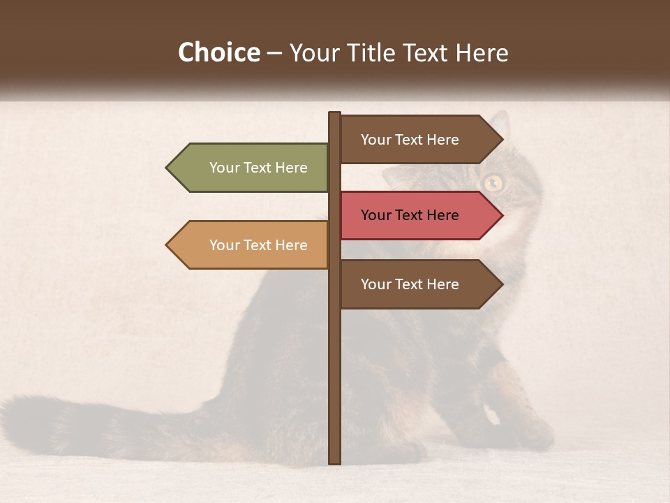 Puss Feline Furry PowerPoint Template