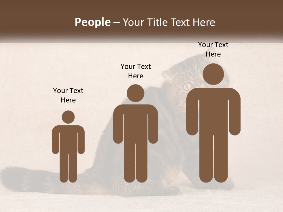 Puss Feline Furry PowerPoint Template