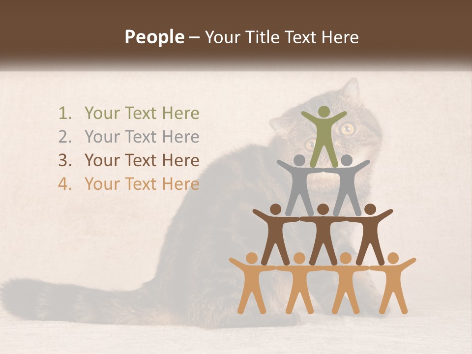 Puss Feline Furry PowerPoint Template