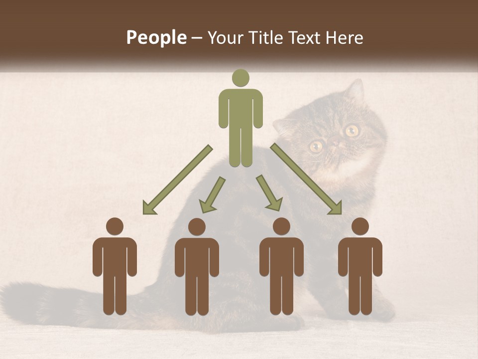 Puss Feline Furry PowerPoint Template