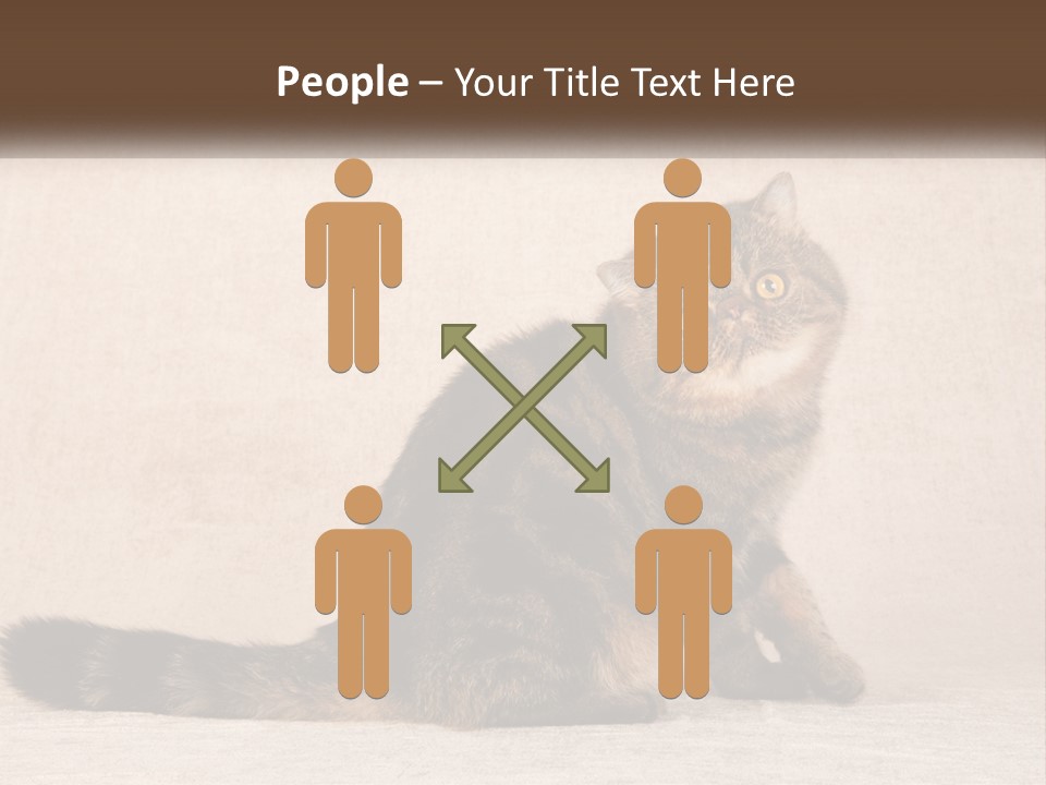 Puss Feline Furry PowerPoint Template