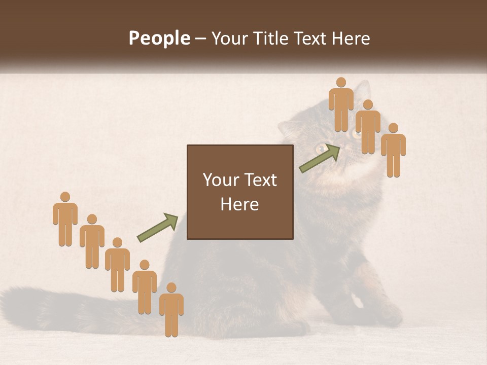 Puss Feline Furry PowerPoint Template